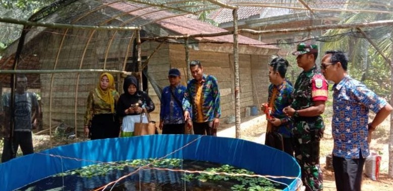 Jalankan Program Ketahanan Pangan, Babinsa Koramil 405-12/Kota Lahat Cek Budidaya Ikan Lele