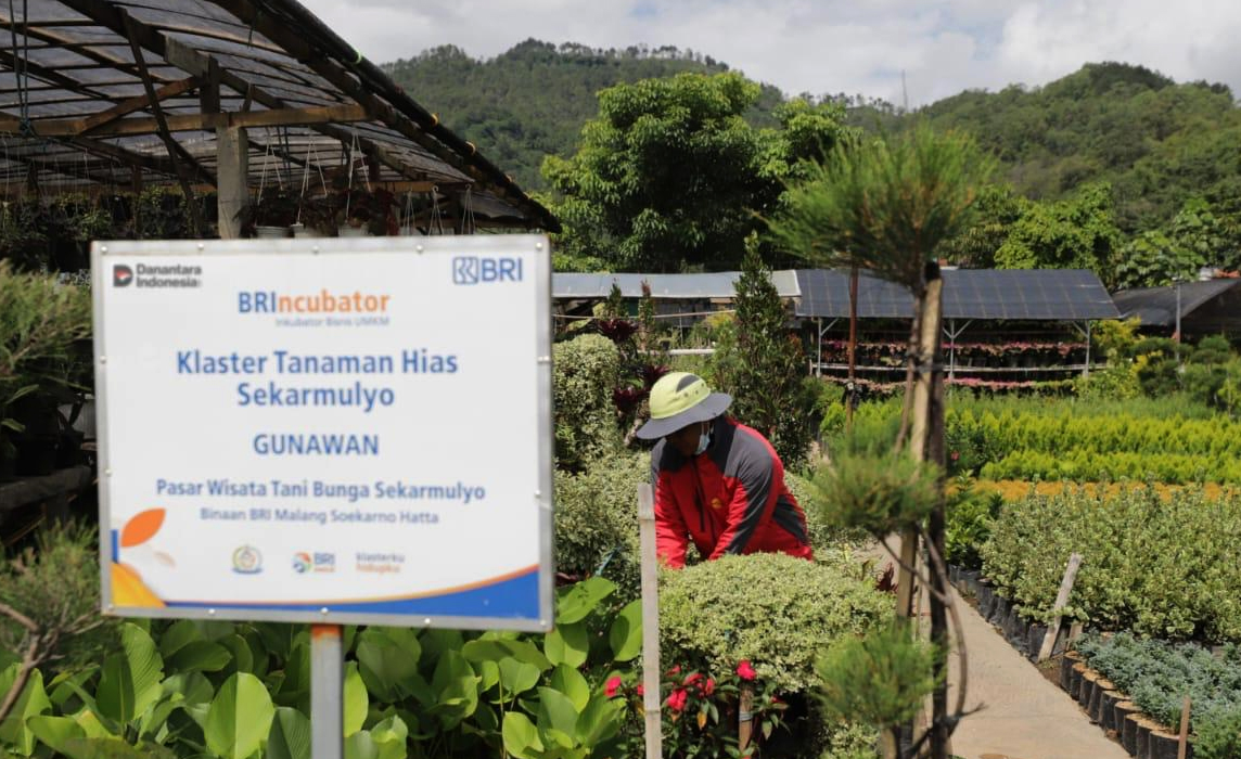 Perkuat Ekonomi Kerakyatan, BRI Berdayakan 41 ribu Klaster Usaha melalui Pembiayaan dan Literasi Keuangan