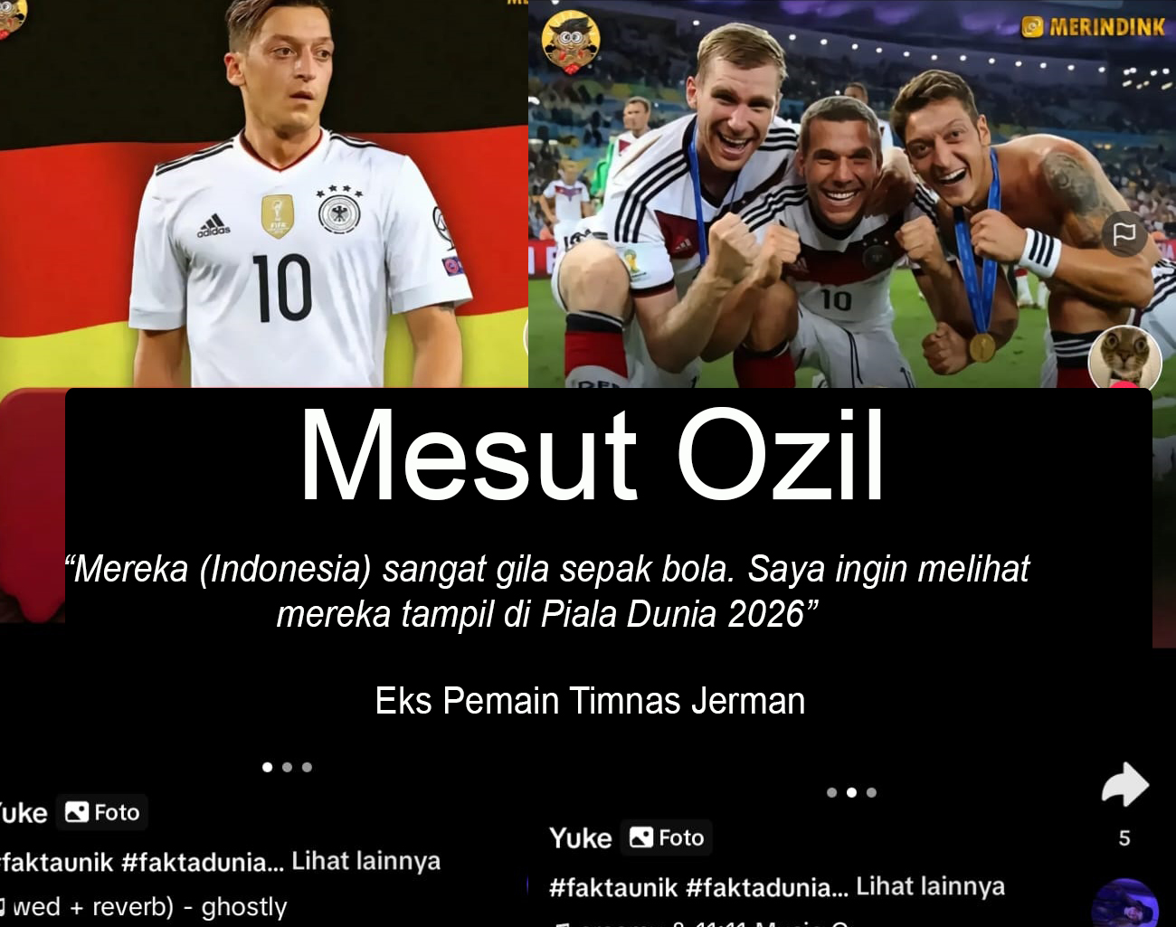 Mesut Ozil Sebut Indonesia Gila Sepak Bola, Eks Pemain Jerman, Pemain Keturunan, Kualifikasi Piala Dunia 2026