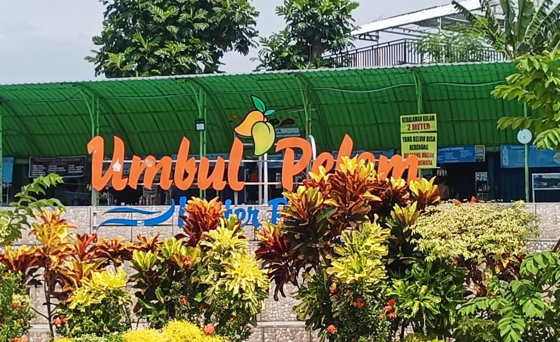 Inspirasi dari Desa Wunut, Desa BRILiaN yang Membagikan THR Hingga Sediakan Jaminan Sosial Untuk Warganya