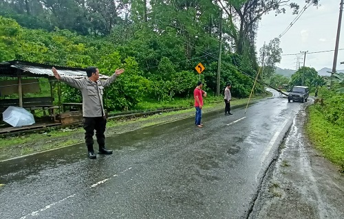 Pohon Tumbang Mengenai Listrik Kembali Terjadi, di Tanjung Sirih Pulau Pinang 