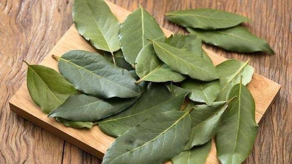 6 Rekomendasi Obat Herbal untuk Membantu Mengontrol Diabetes