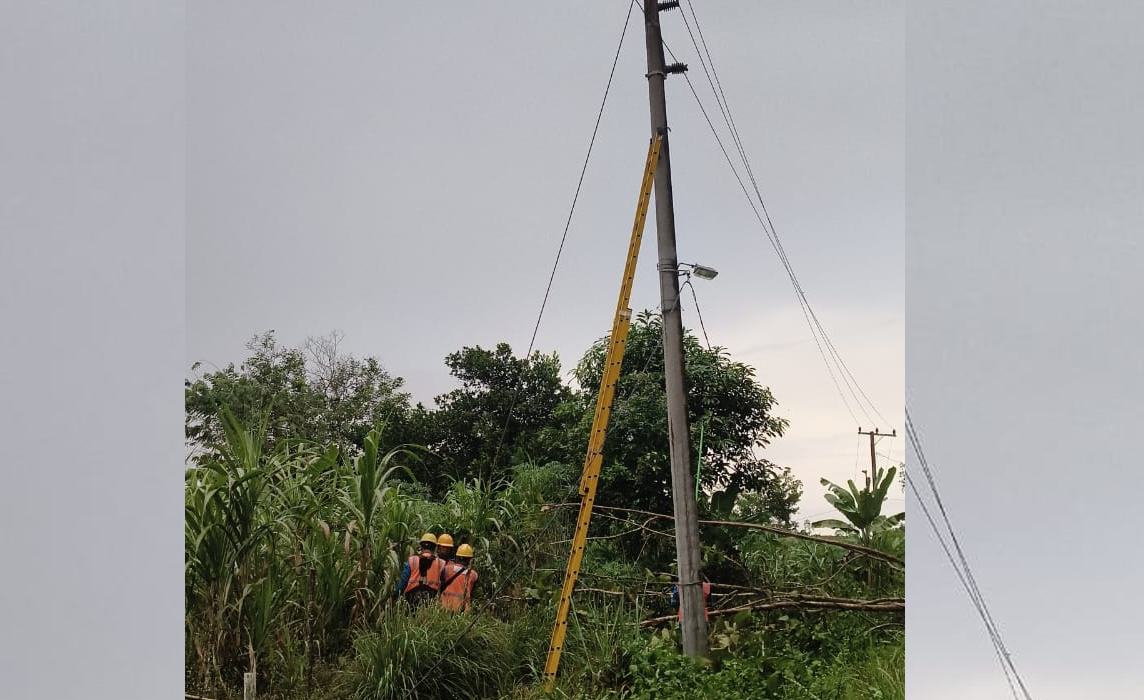 PLN Gerak Cepat Tangani Gangguan Akibat Cuaca Ekstrem di Baturaja