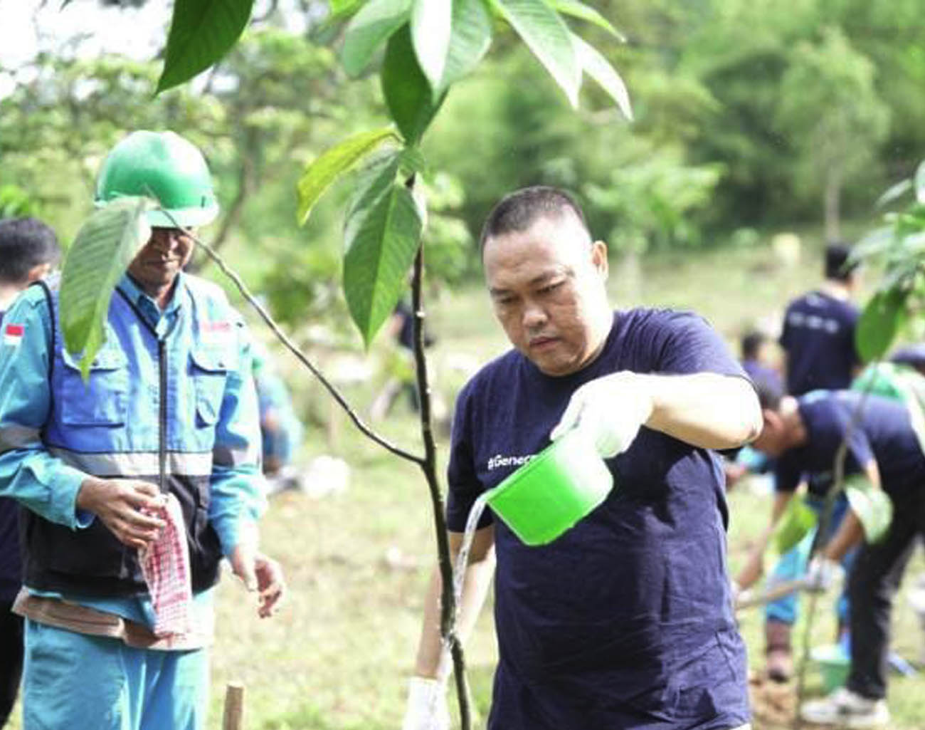 Green Mining, Bukit Asam (PTBA) Tanam Pohon Bersama di Lahan Bekas Tambang