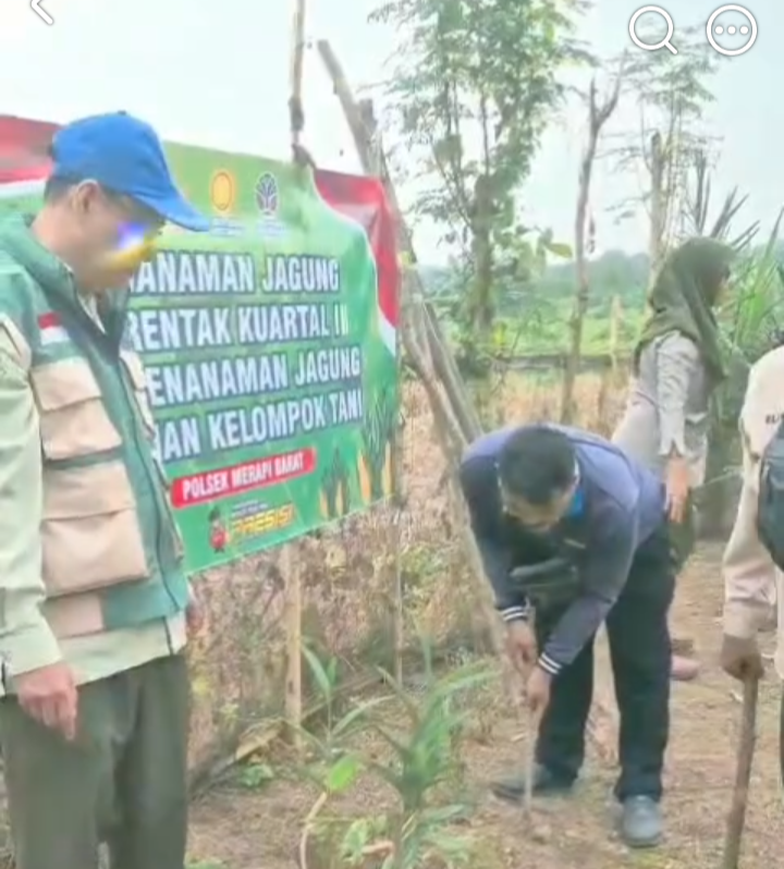 Polsek Merapi Tanam Jagung Serentak, Dukung Ketahanan Pangan Nasional