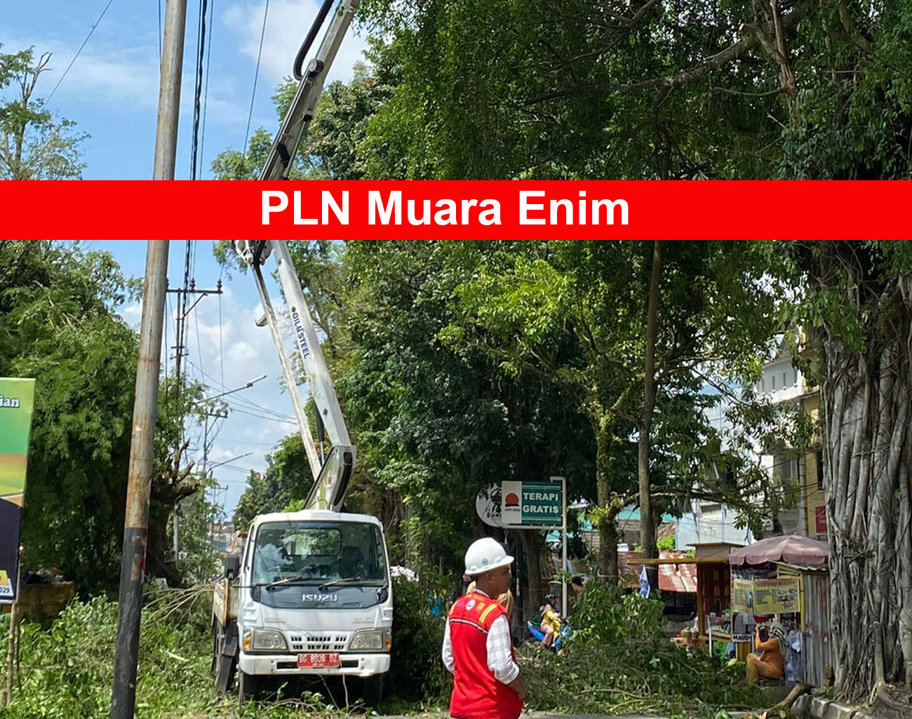 PLN Muara Enim Eksekusi Pohon Bersama Pemda Untuk Tingkatkan Kehandalan Jaringan Kota