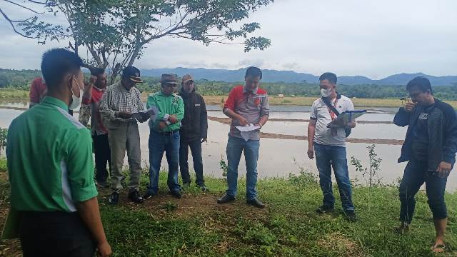 Penggugat dan Tergugat Sama-sama Klaim Tanah Sawah dan Kebun Kopi