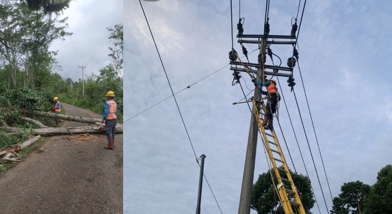 Angin Kencang Landa Lahat dan Pagar Alam, Tim PLN Lahat Siaga 24 Jam