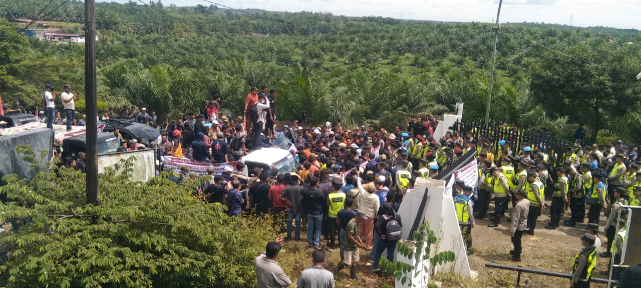 Ribuan Massa Datangi Kantor PT SMS Kikim Barat Lahat, Tuntut Pengembalian Lahan Eks-HGU