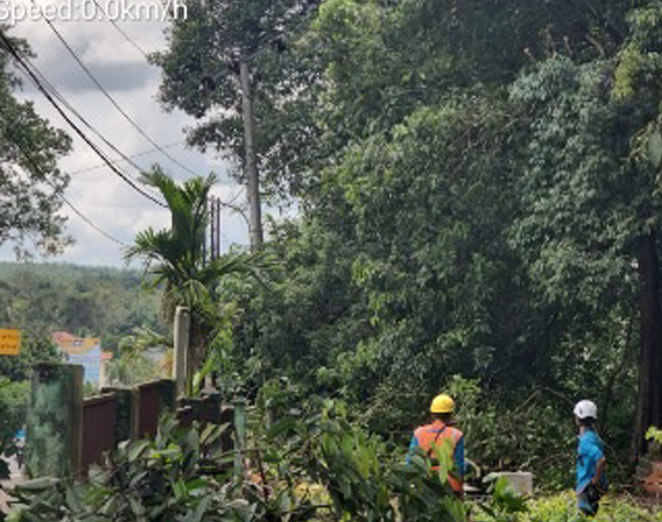 PLN Eksekusi Tanam Tumbuh di Desa Gunung Meraksa dan Karya Mukti OKU