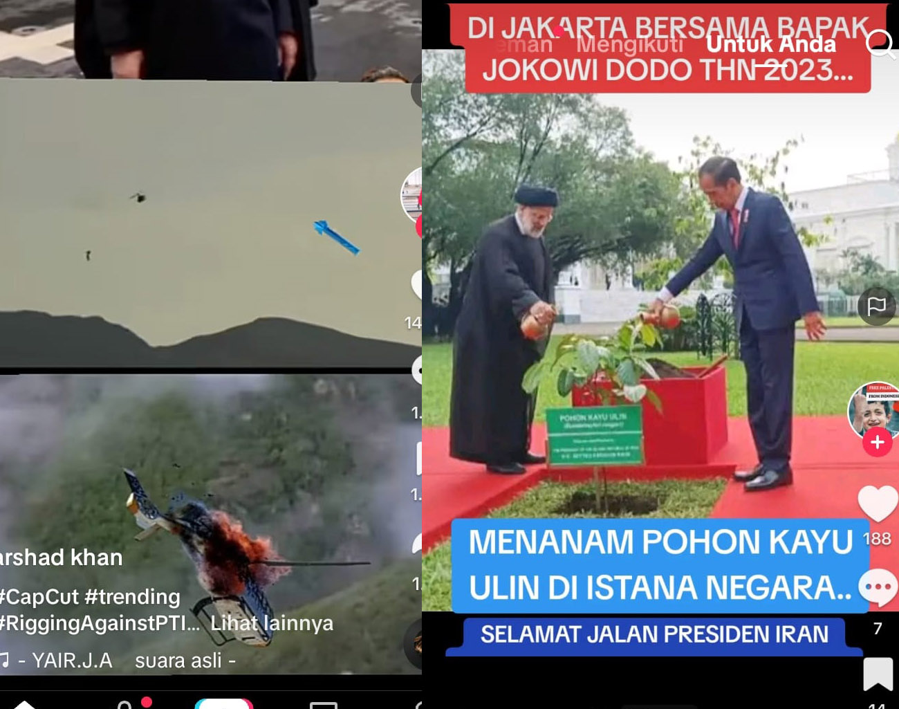 Kenangan Presiden Iran Ibrahim Raisy  bersama Presiden RI Jokowi di Istana Negara, Tanam Pohon Ulin