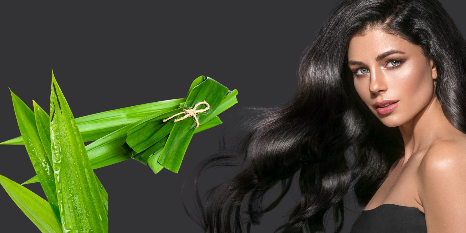 Cuma Modal Daun Pandan, Rambut Hitam Bak Model  Shampo  internasional 