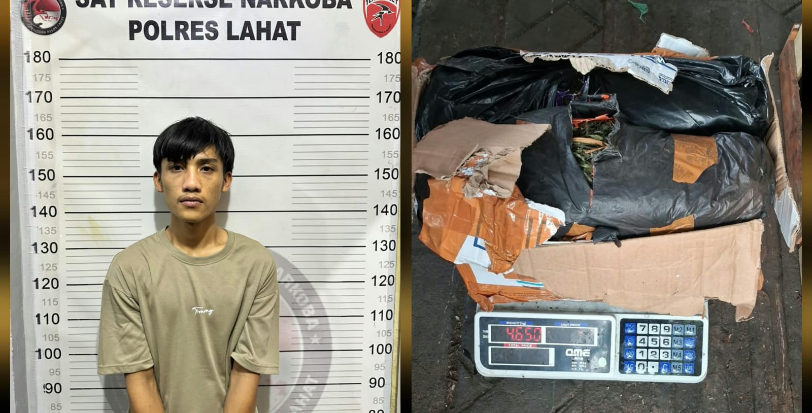 Satresnarkoba Polres Lahat Sita 4,65 Kg Ganja di Tanjung Sirih, Seorang Pria Diamankan