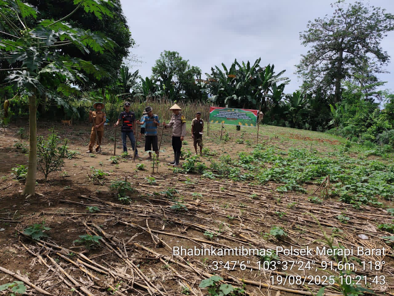 Sinergi Aparat Kepolisian, Pemerintah Desa, dan Warga Tanjung Pinang Penanaman Jagung Kuartal III