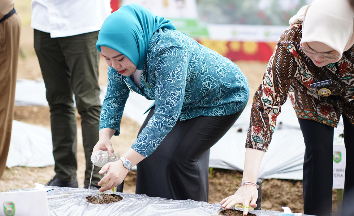 Sumsel Pelopor Inovasi Ketahanan Pangan, GSMP Terus Berkembang dan Ditiru Daerah Lain