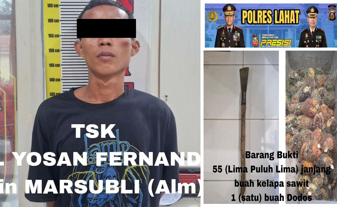 Tergoda Buah Sawit PT SMS, Yosan Terjaring Operasi Pekat Musi 2025 Team Jagal Bandit Sat Reskrim Polres Lahat