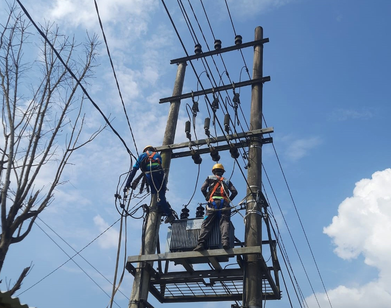 Ada Pemeliharaan Jaringan, Ini Pesan PLN ULP Lembayung kepada Pelanggan Listrik