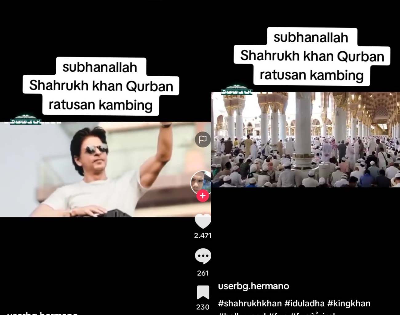 Shah Rukh Khan Bergelar Haji, Kurban Ratusan Kambing, Aktor Film India, SRK Meninggal Dunia, Sakit, Sembuh