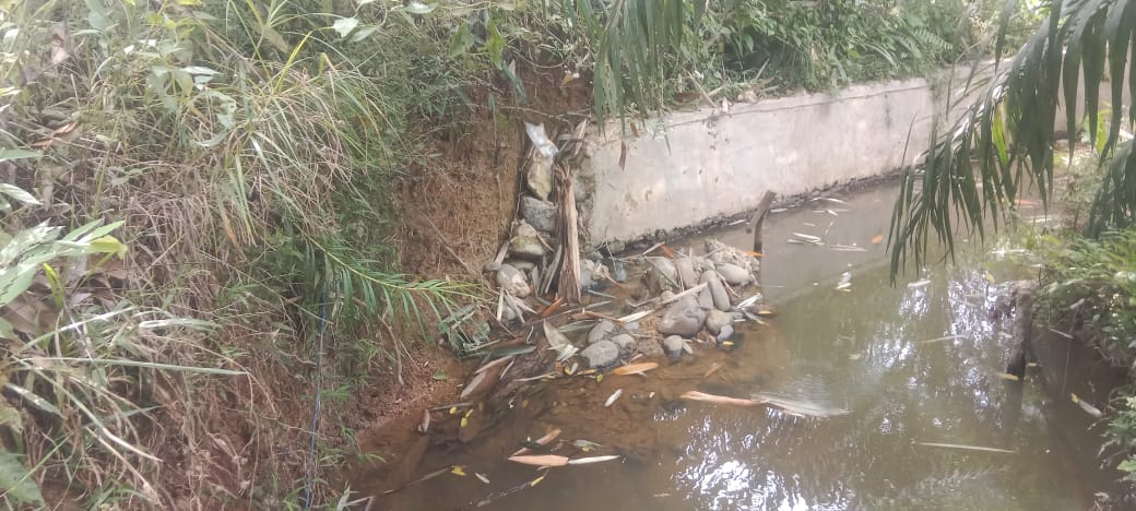 Tembok Penahan di Desa Sukabakti Ambruk Setelah Beberapa Bulan, Warga Protes Proyek Tidak Sesuai Standar