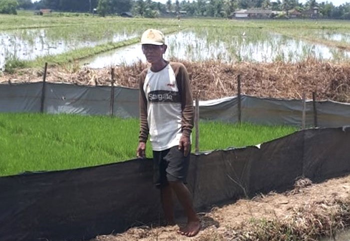 Bantuan dari Bukit Asam (PTBA) Tingkatkan Penghasilan Petani di Lampung