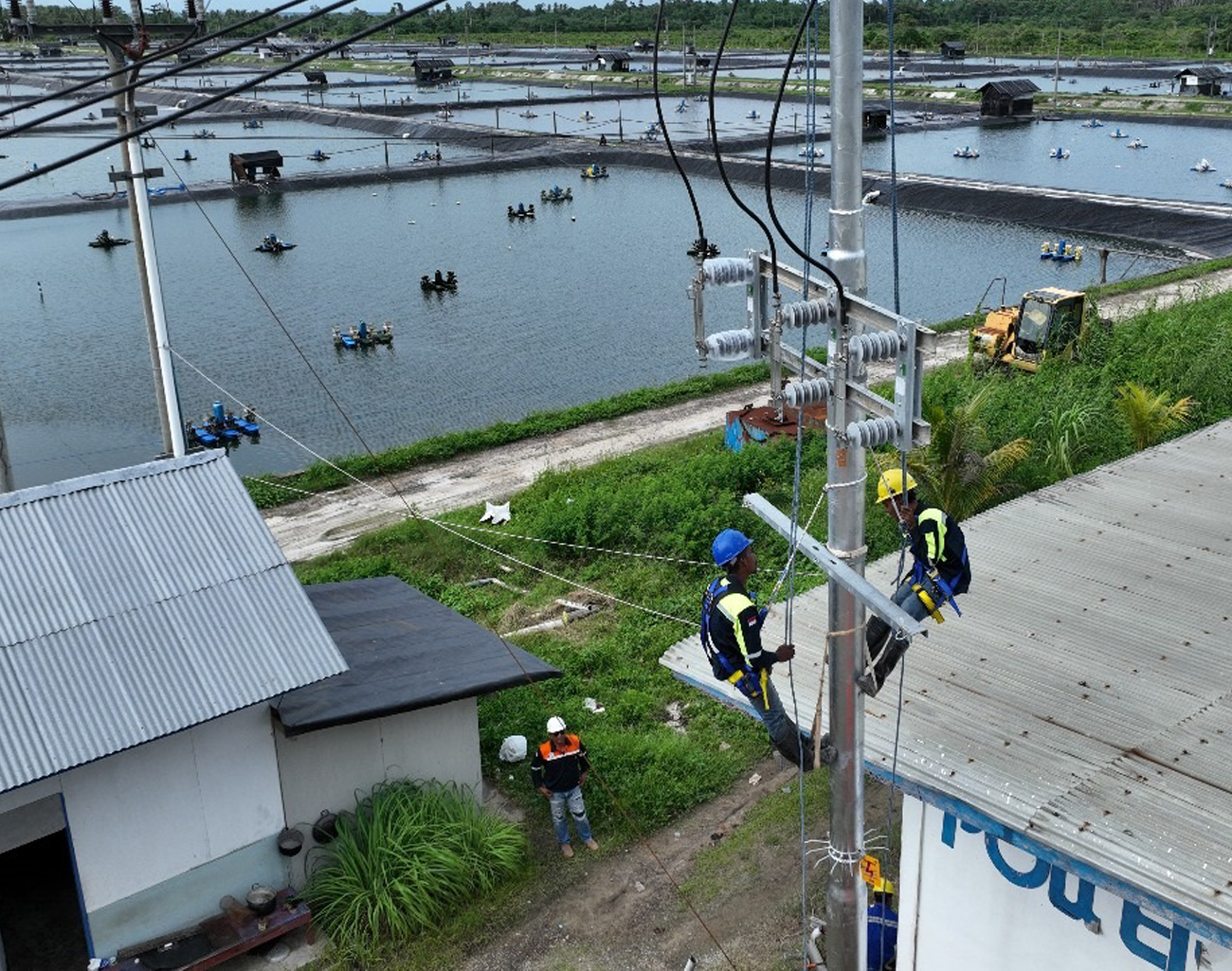 Perusahaan Tambak Udang di Maluku Berhasil Efisiensi Rp123 Juta Lebih per Hari Berkat Listrik PLN