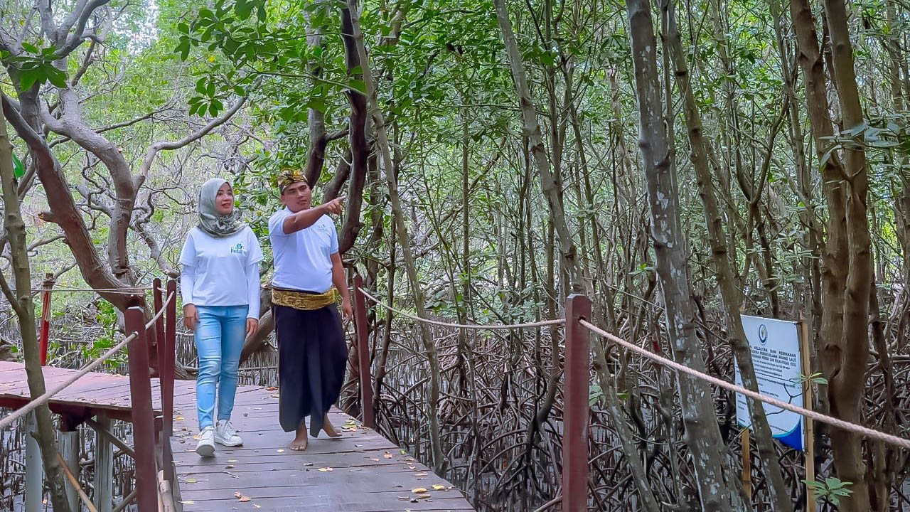 Program Desa Berdaya dari PLN Bantu Kawasan Hutan Mangrove Jerowaru Jadi Favorit Pengunjung