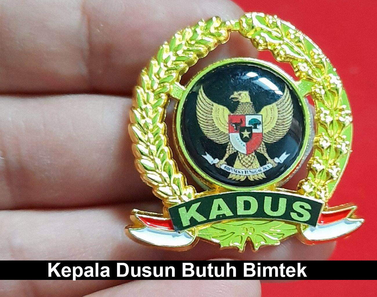 Kepala Dusun Butuh Bimtek, Tidak Hanya Kades, Kasi, dan Kaur Saja, Ini Alasannya
