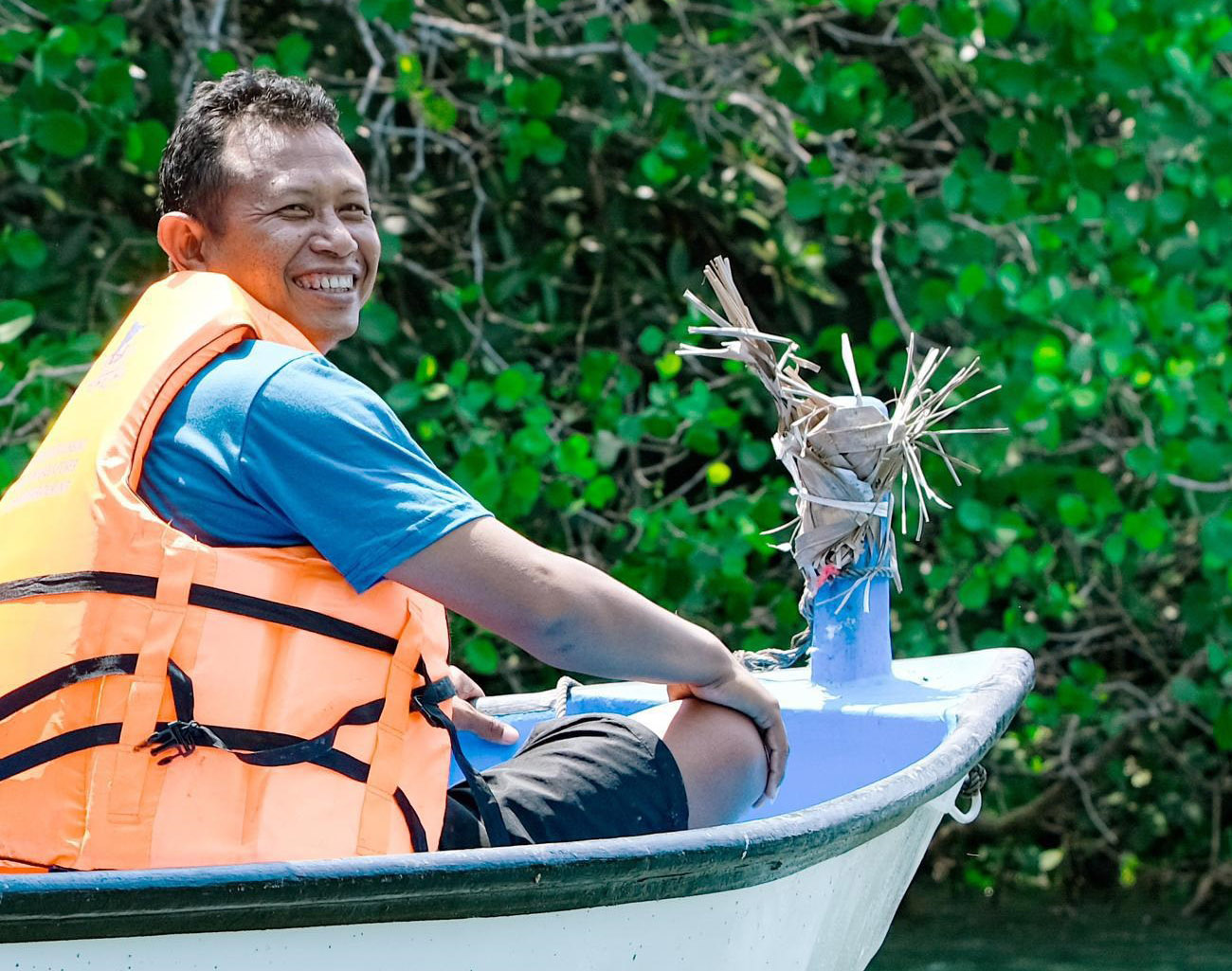 PLN Kembangkan Hutan Mangrove di Bali, Sukses Jaga Lingkungan dan Berdayakan Masyarakat