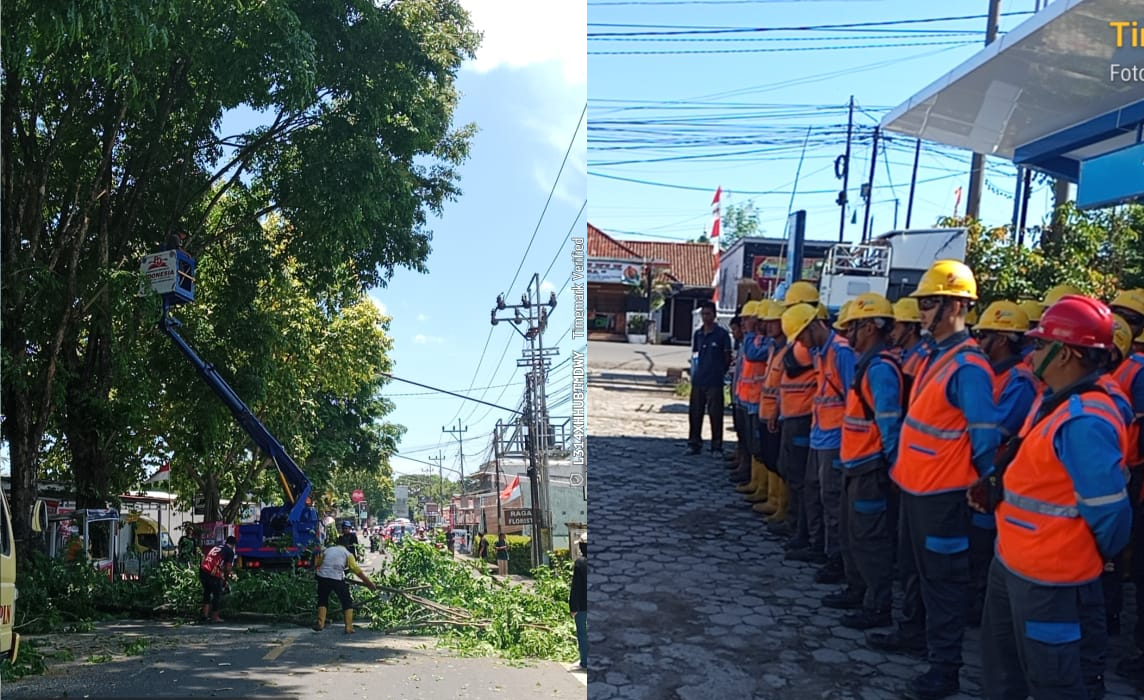 Sinergi PLN ULP Lembayung dan Dinas Lingkungan Hidup Kabupaten Lahat Tingkatkan Keandalan Listrik