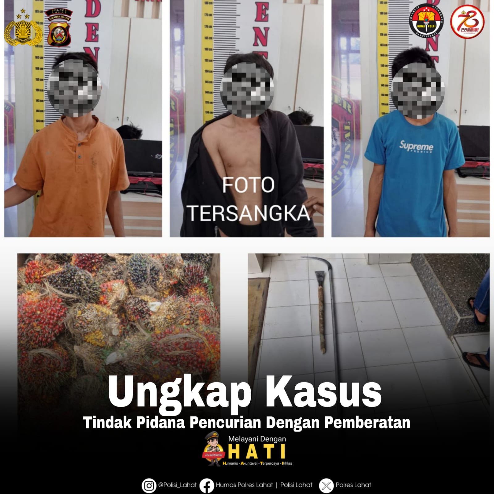 Polres Lahat Ungkap Kasus Tindak Pidana Pencurian Buah Sawit PT SMS