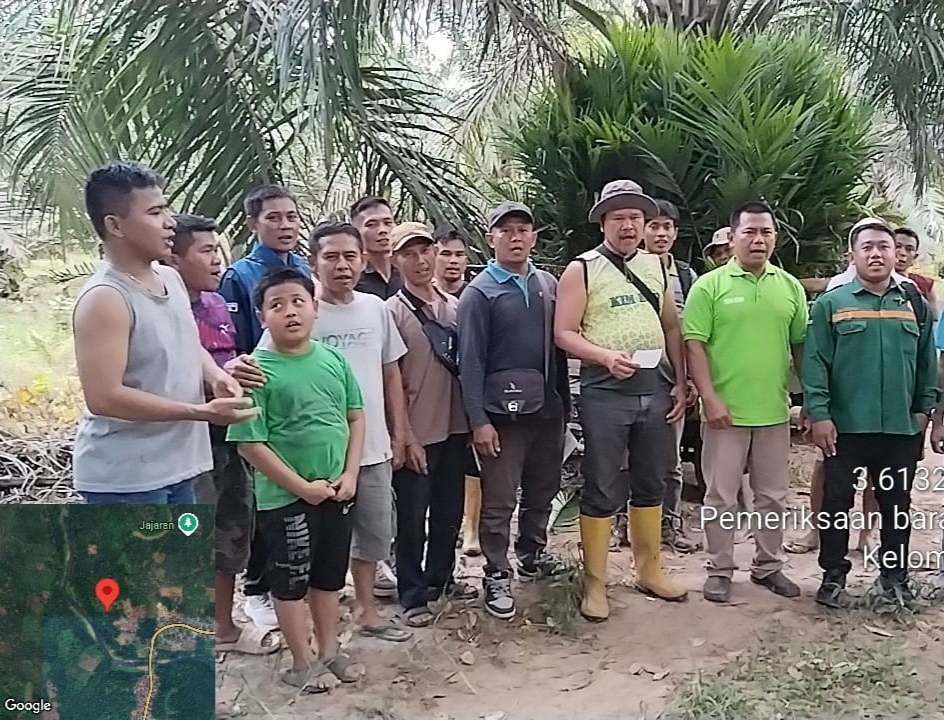 Petani Desa Jajaran Baru Terima Bantuan 1.587 Bibit Kelapa Sawit dari Pemkab Lahat