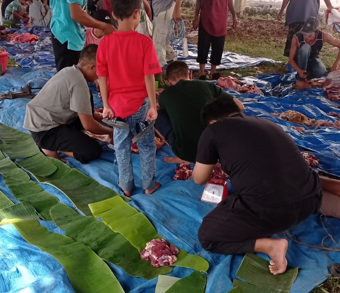 Cara Praktis Menghitung Daging Qurban