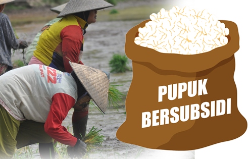 HET Pupuk Subsidi Turun, Petani Diminta Laporkan Pengecer Nakal