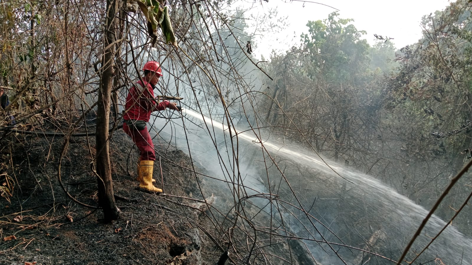 Kembali, Tim Damkar PT Arta Prigel Bantu Padamkan Api Kebakaran Lahan di Wilayah Lahat Selatan