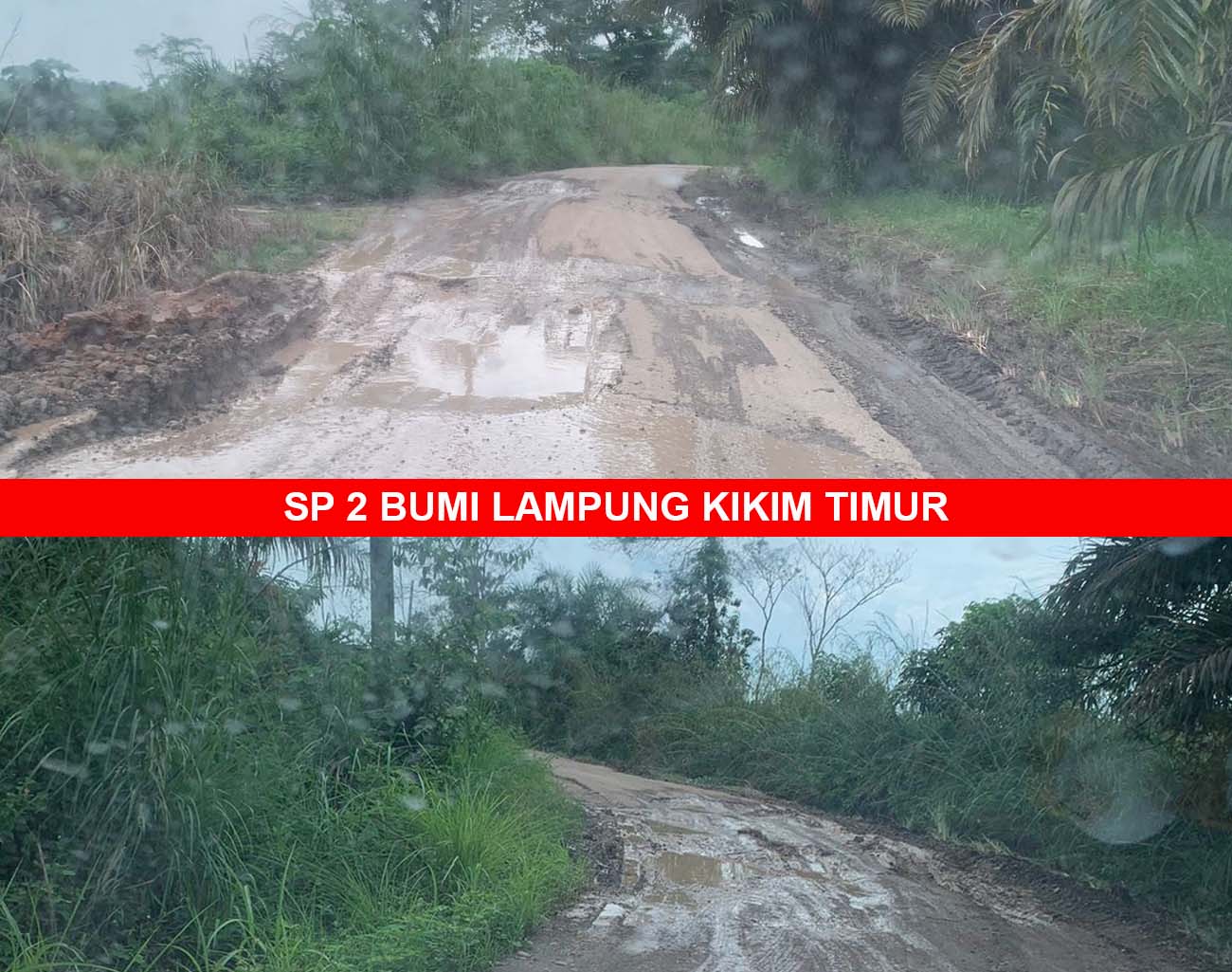 Jalan SP2 Bumi Lampung Lahat Belum Aspal, Banyak Lobang Besar Merusak Mobil yang Melintas