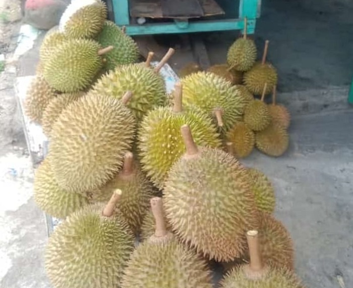 Nonton Porprov Sambil Nikmati Musim Durian Lahat
