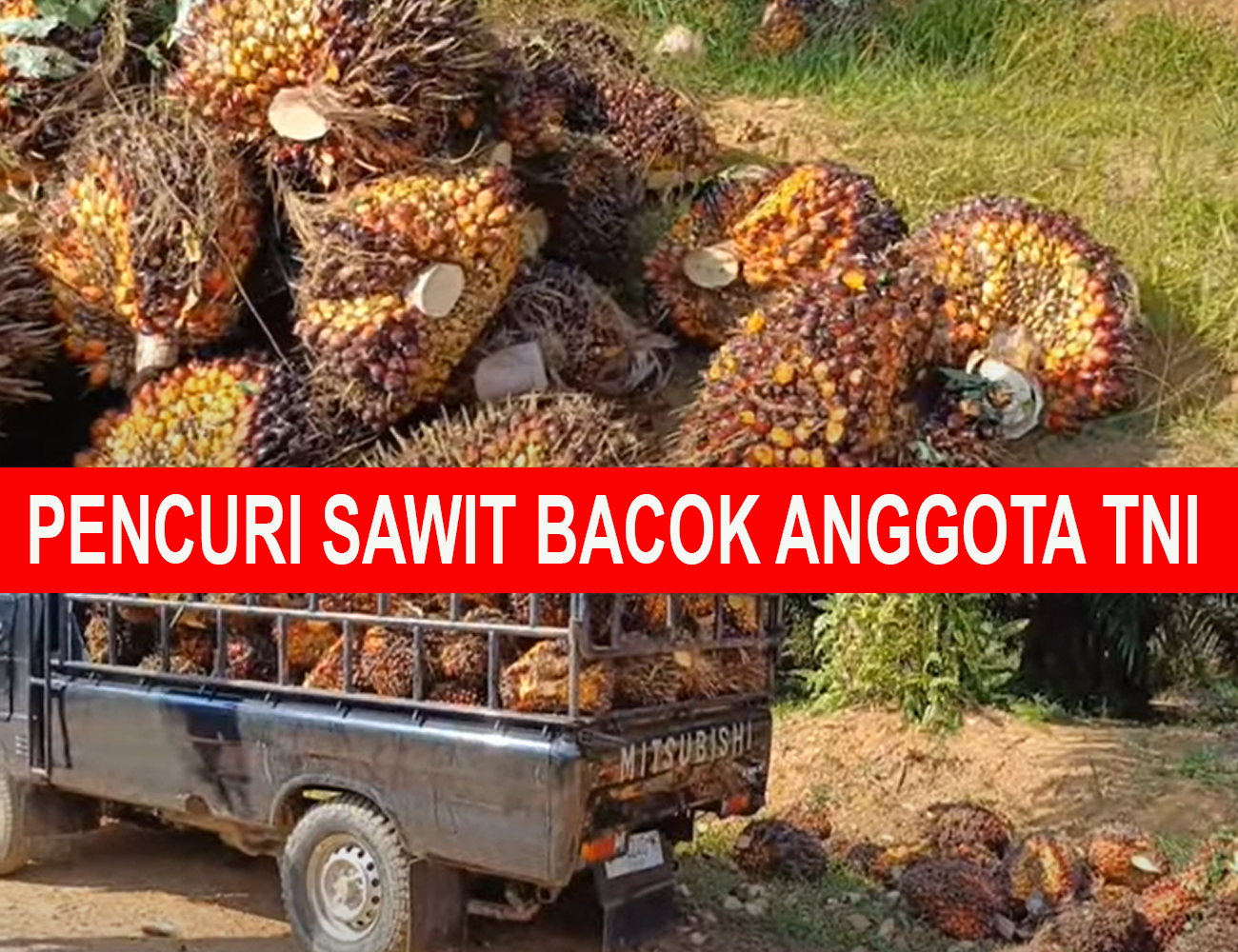 Sadis, Maling Buah Sawit Berani Bacok dan Culik Anggota TNI di Empat Lawang Sumatera Selatan