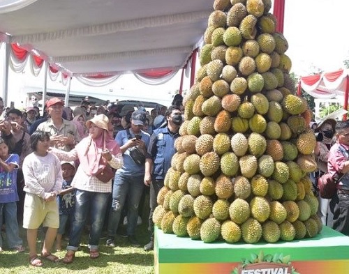 Festival Durian Muara Enim 2022