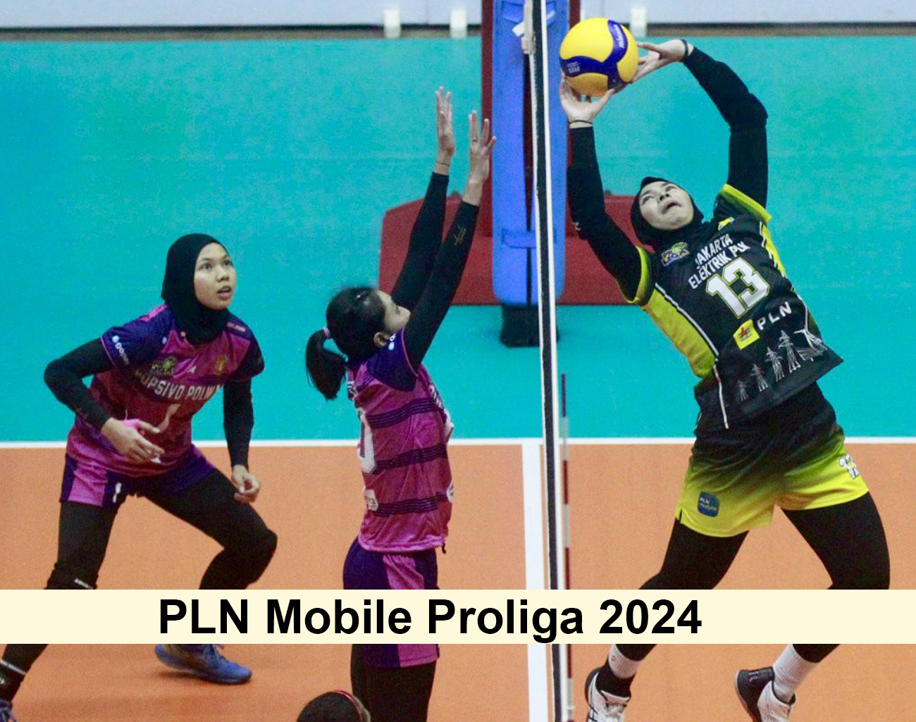 Inilah Jadwal PLN Mobile Proliga 2024 di 9 Kota Besar, Ada Palembang, Yogyakarta, Semarang