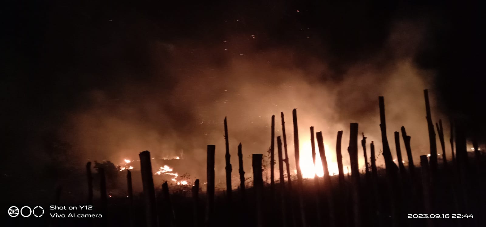 Kebakaran Menimpa Lahan Kebun Warga Tanjung Tebat Lahat Selatan
