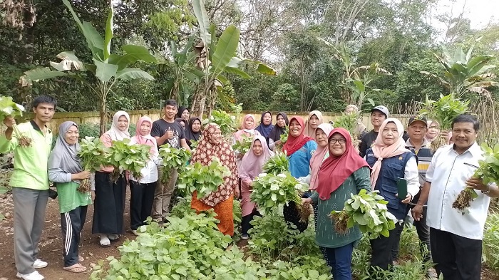 Kelompok Wanita Tani Maju Bersama Desa Gunung Agung Panen Perdana 