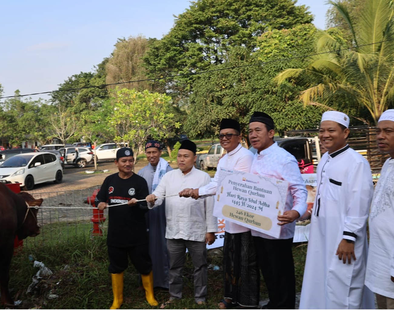 Bukit Asam (PTBA) Salurkan 196 Sapi dan 65 Kambing Kurban, Idul Adha 1445 H