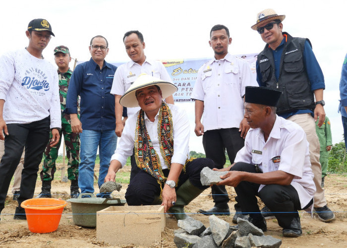 Bukit Asam Bangun PLTS Irigasi untuk 150 Hektar Sawah di Lampung Tengah