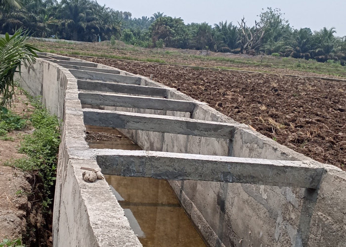 Proyek Irigasi Ataran Bemban Lahat Rp3 Miliar Disorot, Ketebalan Lantai Diduga Tak Sesuai Spesifikasi