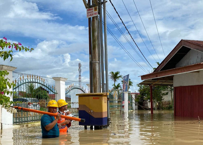 Info PLN, Waspada Hujan Lebat, Simak Langkah Antisipasi Bahaya dari PLN