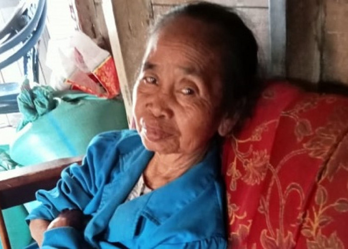Nenek Usia 74 Tahun Dilaporkan Hilang di Perkebunan Tanjung Mulak Lahat