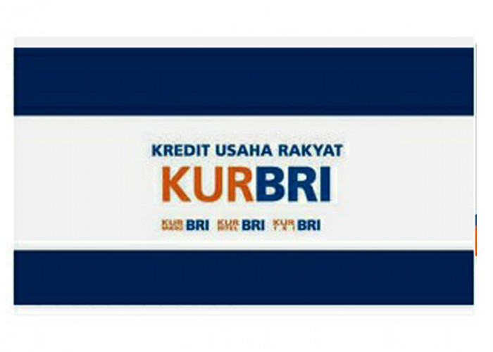 Cara Mudah Ajukan Kredit Usaha Rayat (KUR) di Bank BRI, Berikut Panduan Agar Pinjaman Bisa Cair