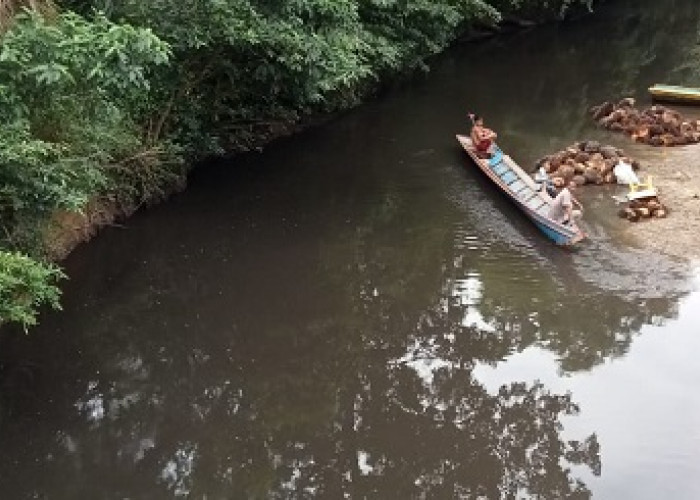 Sungai Laru Diduga Tercemar, Kades Curiga Hasil Uji Sampel Tidak Keluar dari Dinas Terkait dan PT SMS
