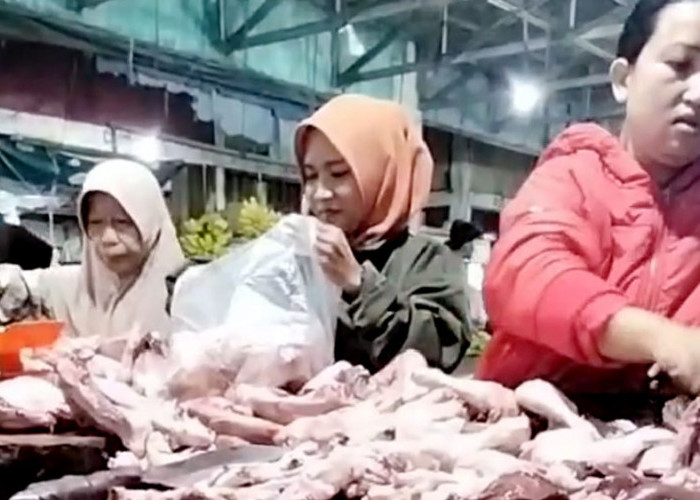 Harga Ayam Potong Mulai Naik Saat Ramadhan, Sentuh Rp36 Ribu per Kilogram