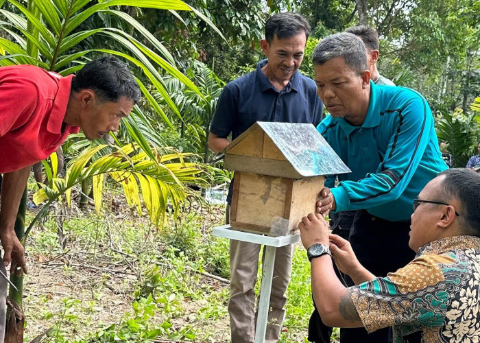 Bukit Asam (PTBA) Dukung Budidaya Lebah Madu, Berdayakan Masyarakat Desa Embawang
